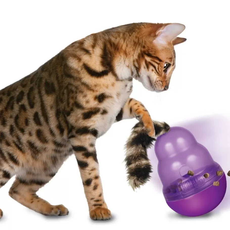 Kedi Ödülleri