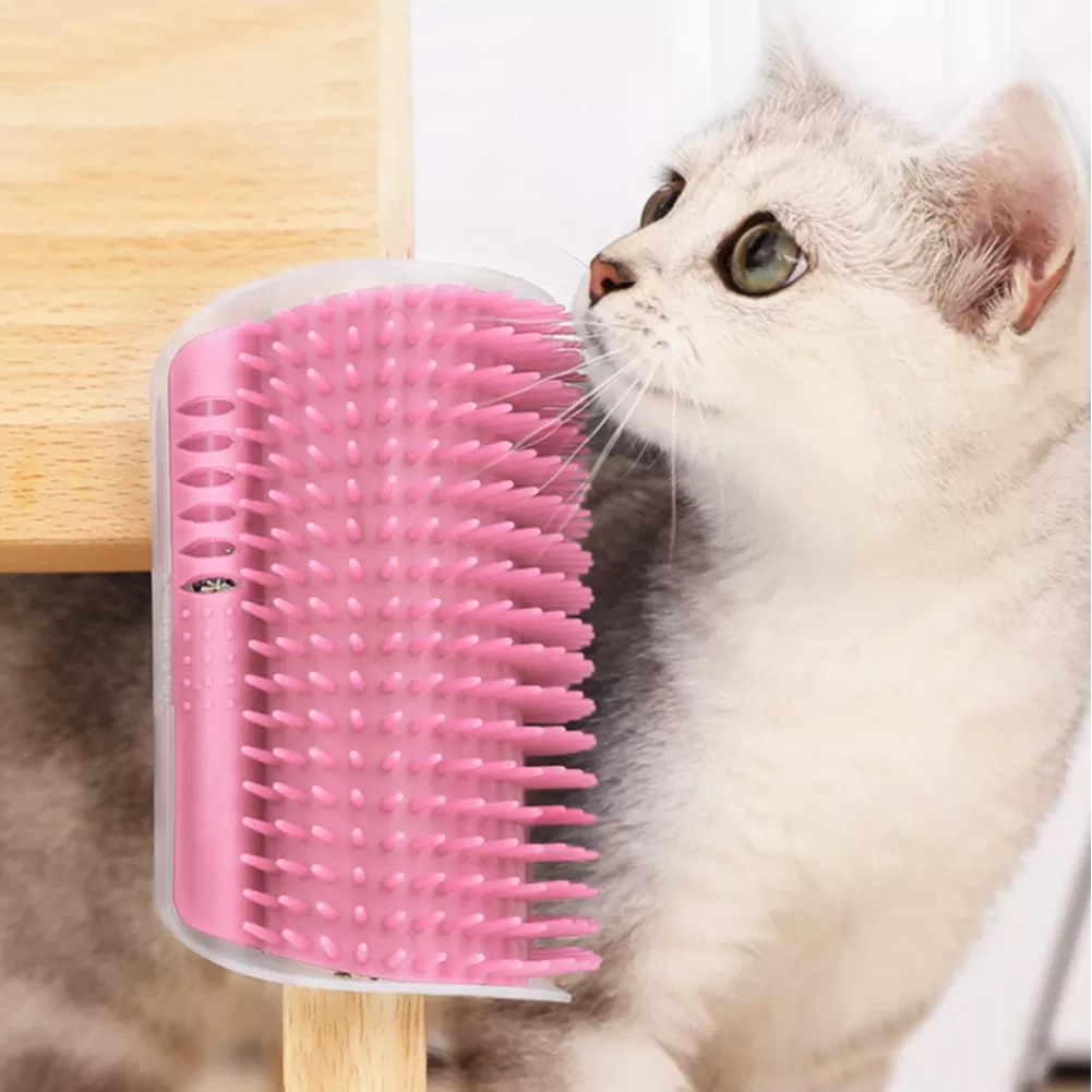 Kedi Tarak ve Fırçaları