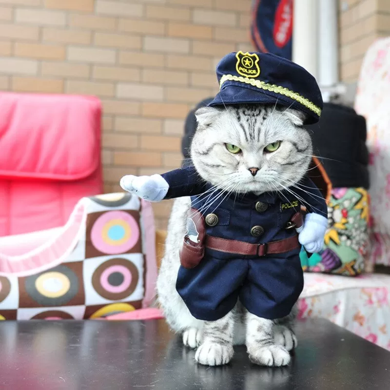 Kedi Kıyafetleri