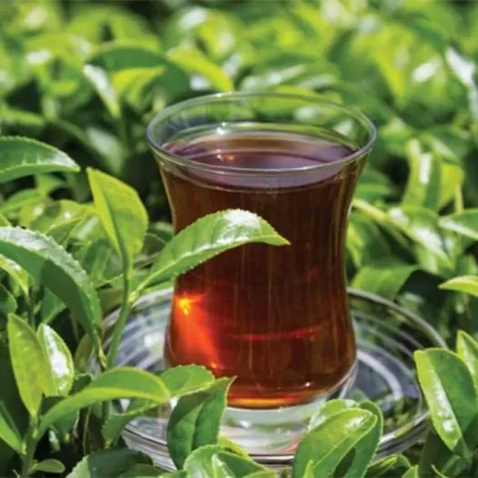 Çay