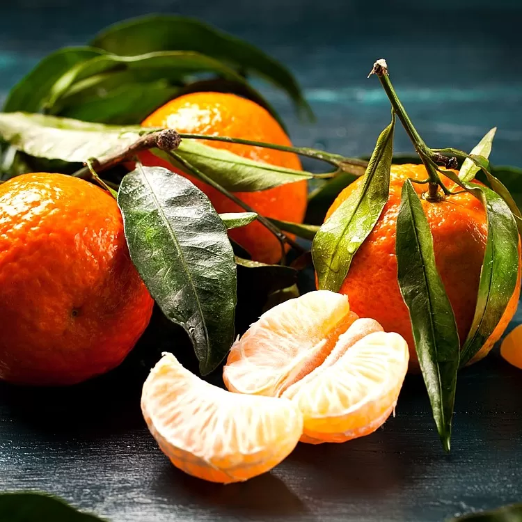 Mandalina