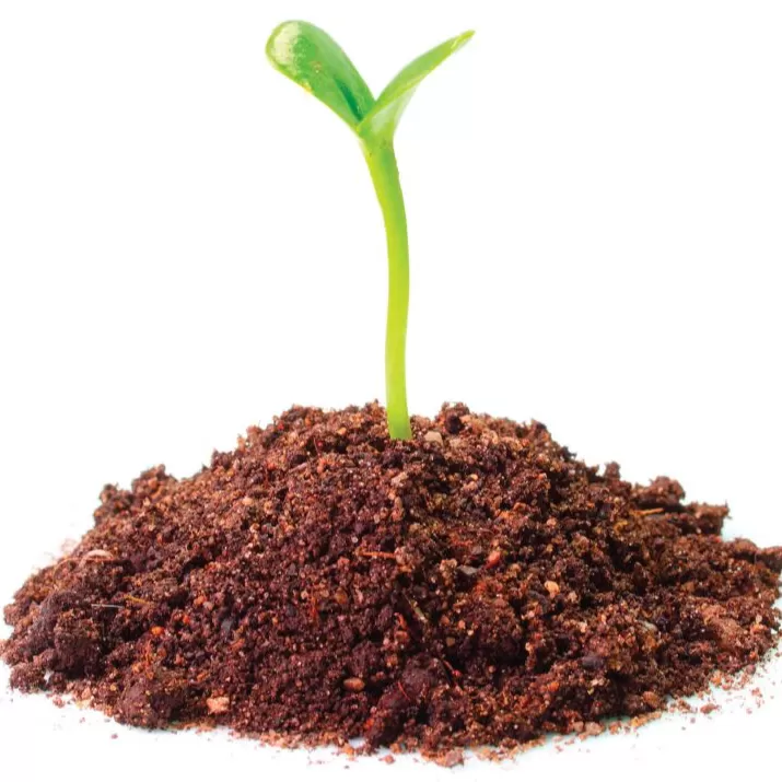Toprak Harcı Ürünleri